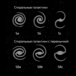 Классификация и разнообразие (фото)